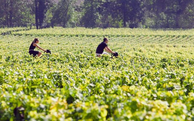 La Villa du Château Belloy