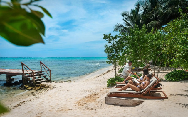 Alea Tulum