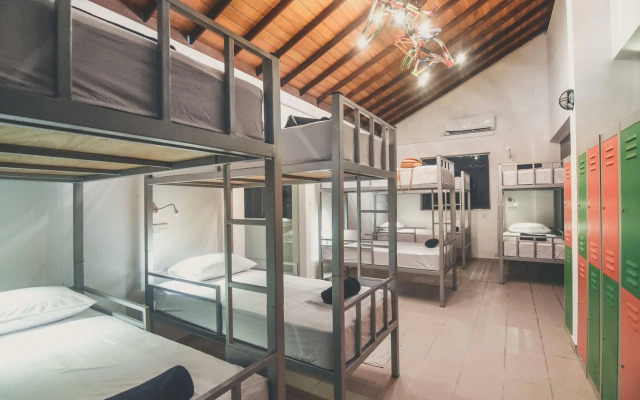 Bunkyard Hostels