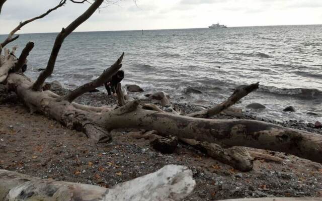 Holiday Apartment sea bay