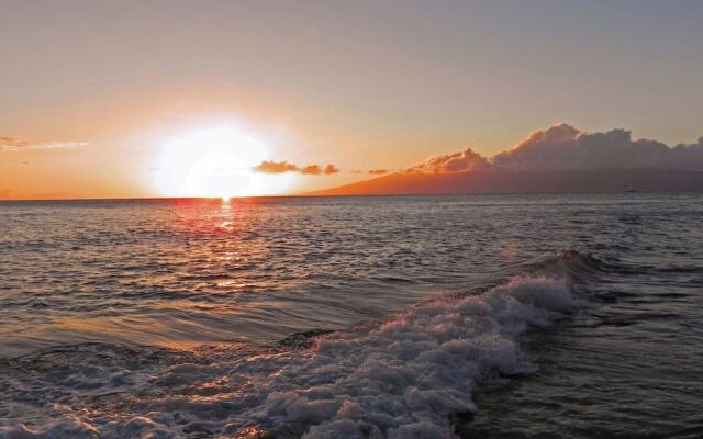 The Mahana 813