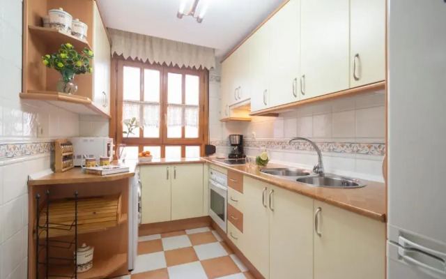 APARTAMENTO CENTRO N V 1+free parking