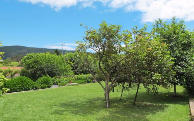 Senhor do Socorro (CAH127)