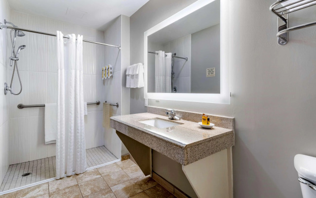 Best Western Plus Edinburg Inn & Suites