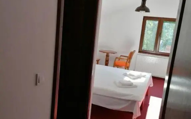 Pensiunea Valea Pinului