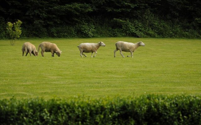 Le Penant