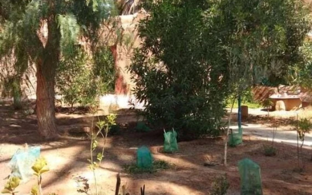 La maison saharaouie
