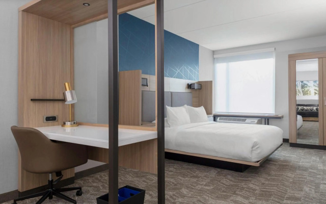 SpringHill Suites by Marriott Durham City View