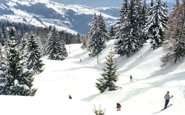 Woodland Village Anzère