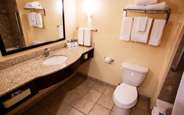 Holiday Inn Express Hotel & Suites Harrisburg West by IHG