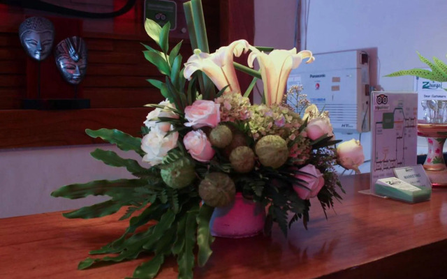 The Green Zhurga Suite