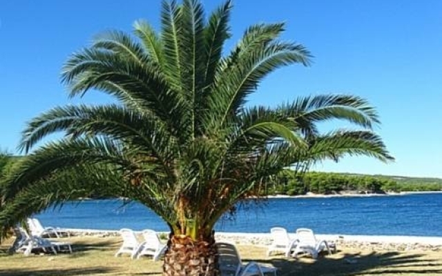Villa Mia Casa