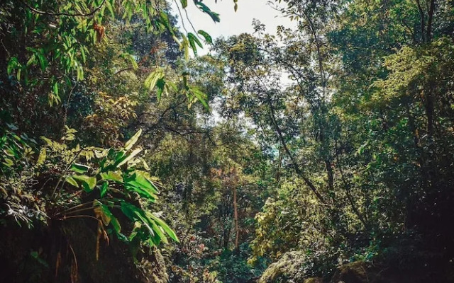 Ventanas en Corcovado