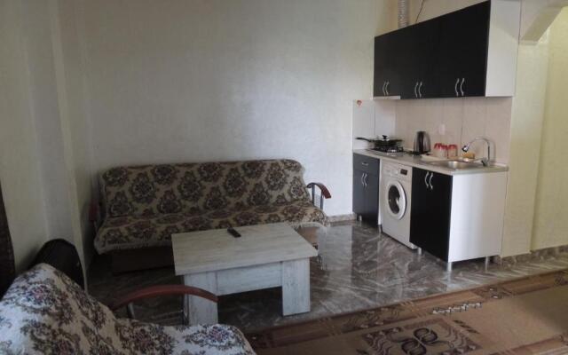 Guest House Ioane
