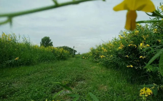 December to Remember