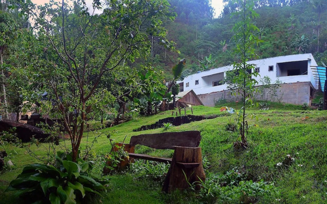 Águas da Mata
