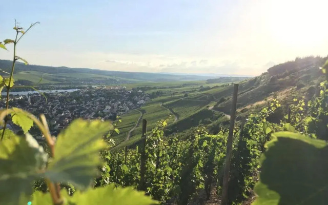 Ferienwohnung & Apartment Am Steinbrunnen