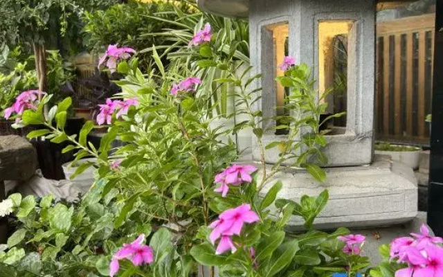 Songshanju Boutique Hostel