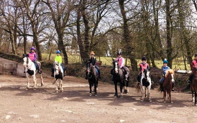 Wellsfield Farm Holiday Lodges