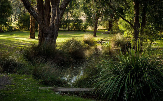 The Burrow At Wombat Bend