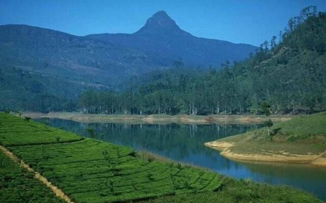 Adams Peak Inn