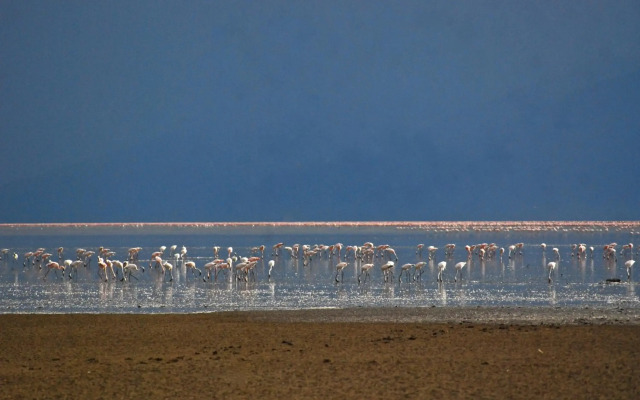 Migunga Tented Camp