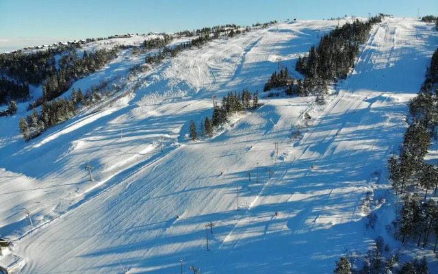 Ski Lodge & Apartments Gautefall