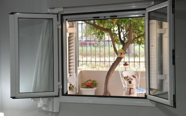 Fanis Apartment