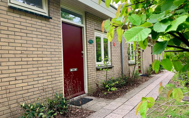 Wilde Moeflon, geniet van de vrije natuur!