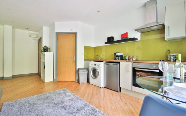 Princess Lofts Studios - Swansea City Centre