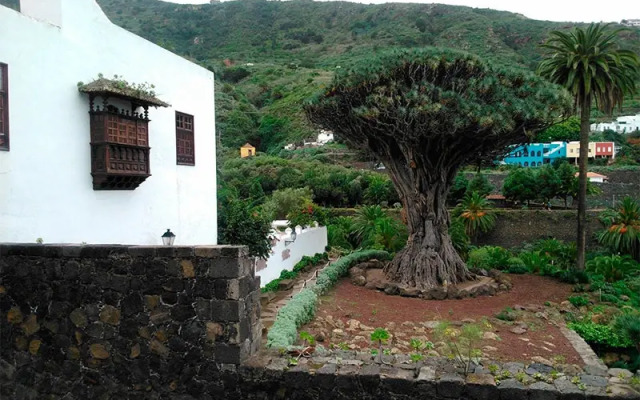 North Coast Apartments