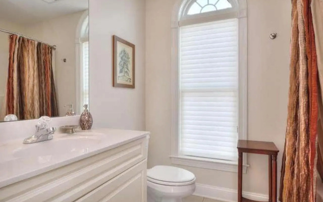 Stranded Indolphinitely