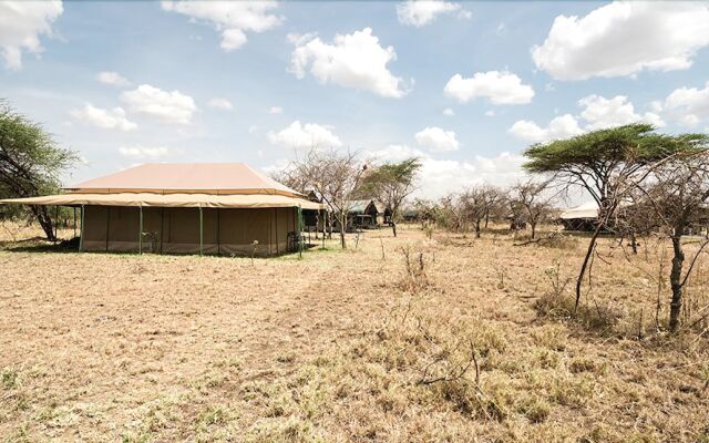Serengeti Wild Camp