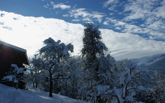 Appartement Steinbergstein
