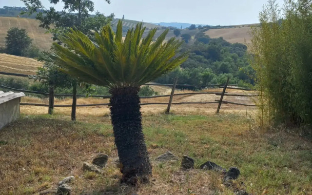 The Papavero Apartment-Appartamento Papavero