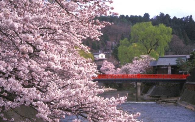 Oyado Yamakyu