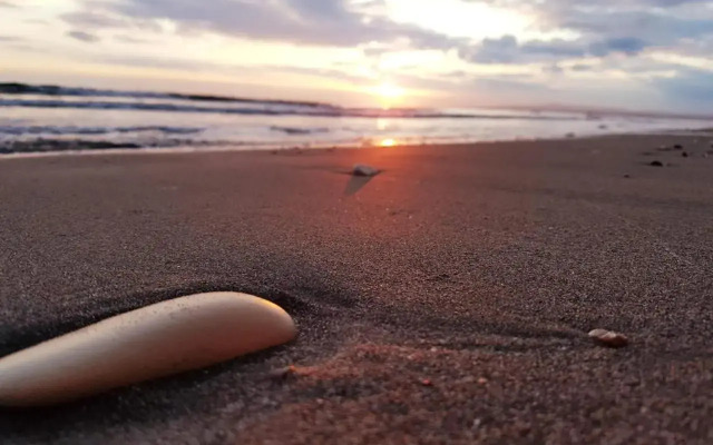 Periyiali Beach Sunset Suite A7