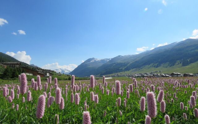 Hotel Galli