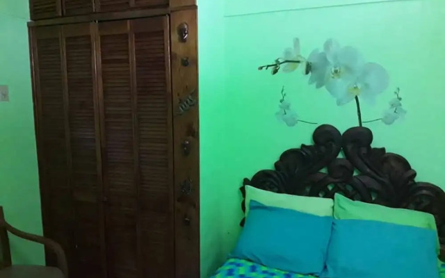 Room in B&B - Cancun Guest House 6