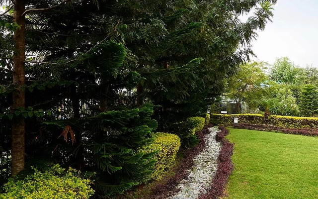 Club Mahindra Kangra Valley Resort