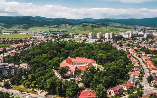 Palace Art Hotel Pezinok