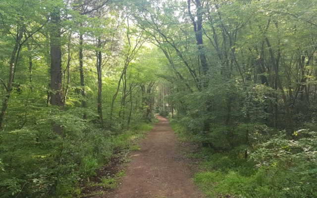 Apartment Dea - Three Bedroom Apartment