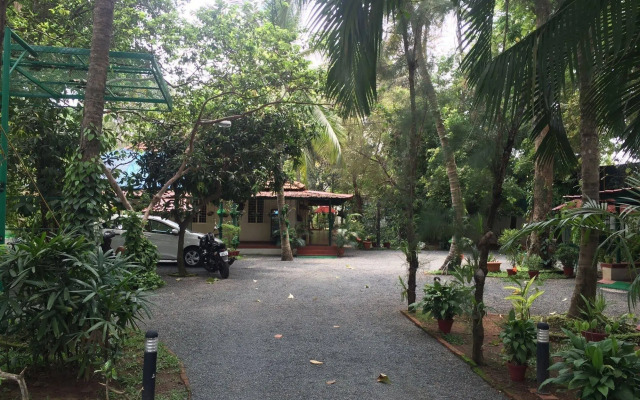 Palm Grove Service Villa