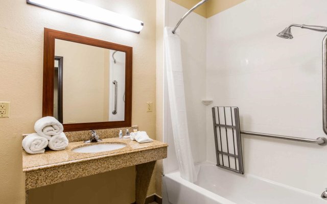 Comfort Inn & Suites IAH Bush Airport – East