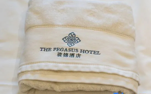 Yining Yujin Hotel – Guest Rooms – Yining