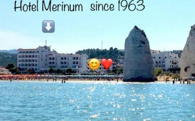 Merinum