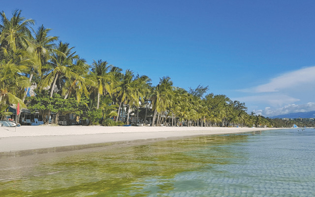 Cocotel Penthouse 8 Colors