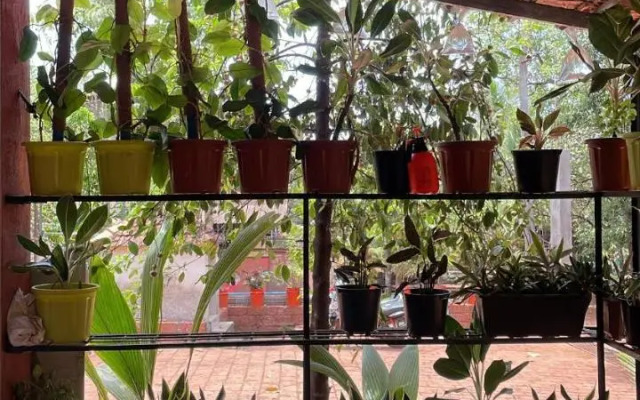 Surve Farms