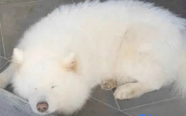 Wuyuan Mingquan Shanshu Homestay (Guangling Scenic Area)