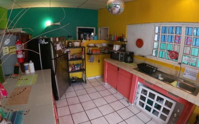 Panama Beach Lodge - Hostel - Adults Only